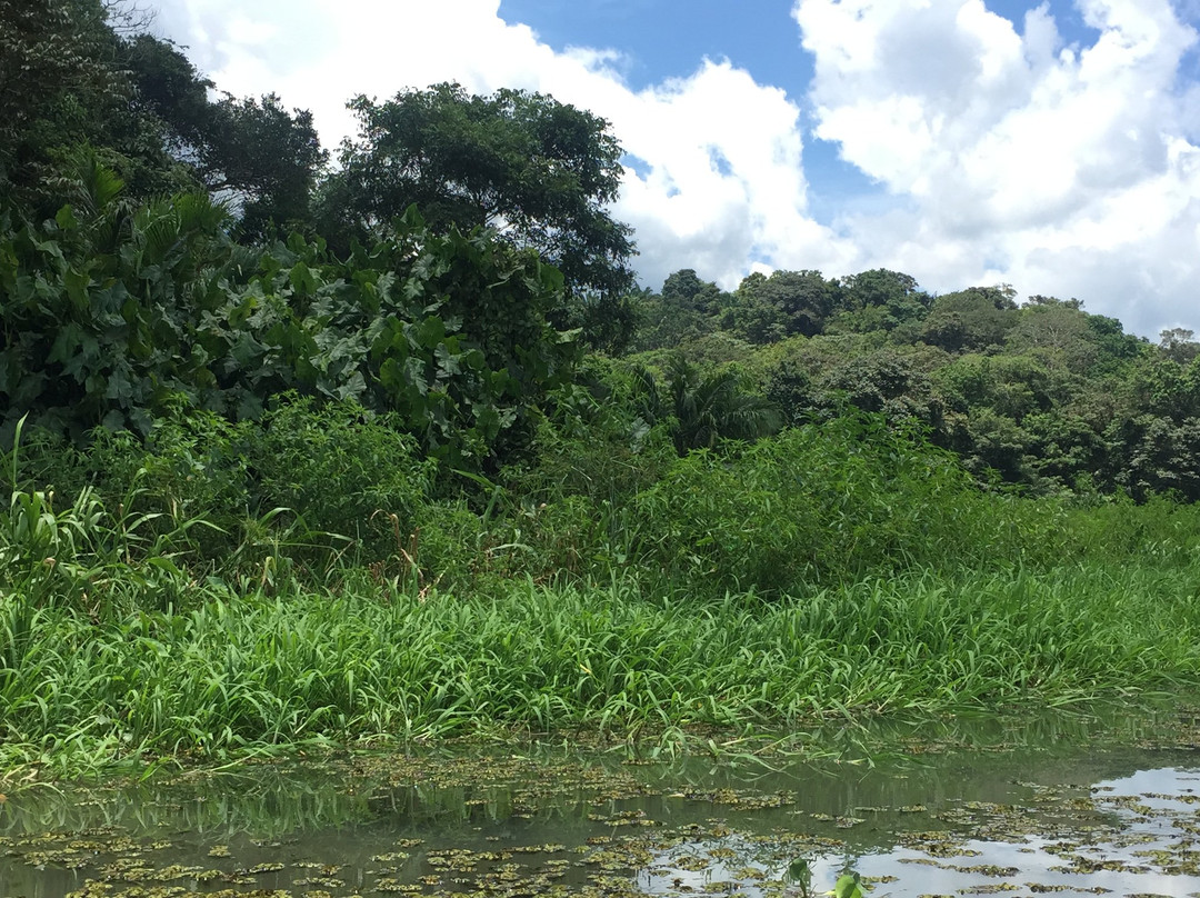 Gamboa Rainforest Resort Chagres River Boat Tour景点图片