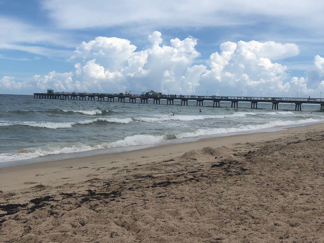 Driftwood Beach Club主图