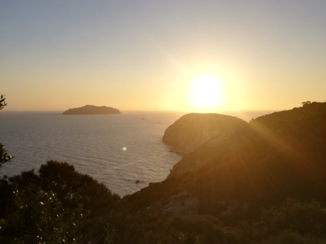 Isola di Ponza景点图片