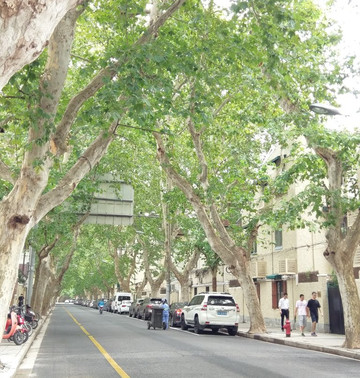 武康路-上海市必去景点