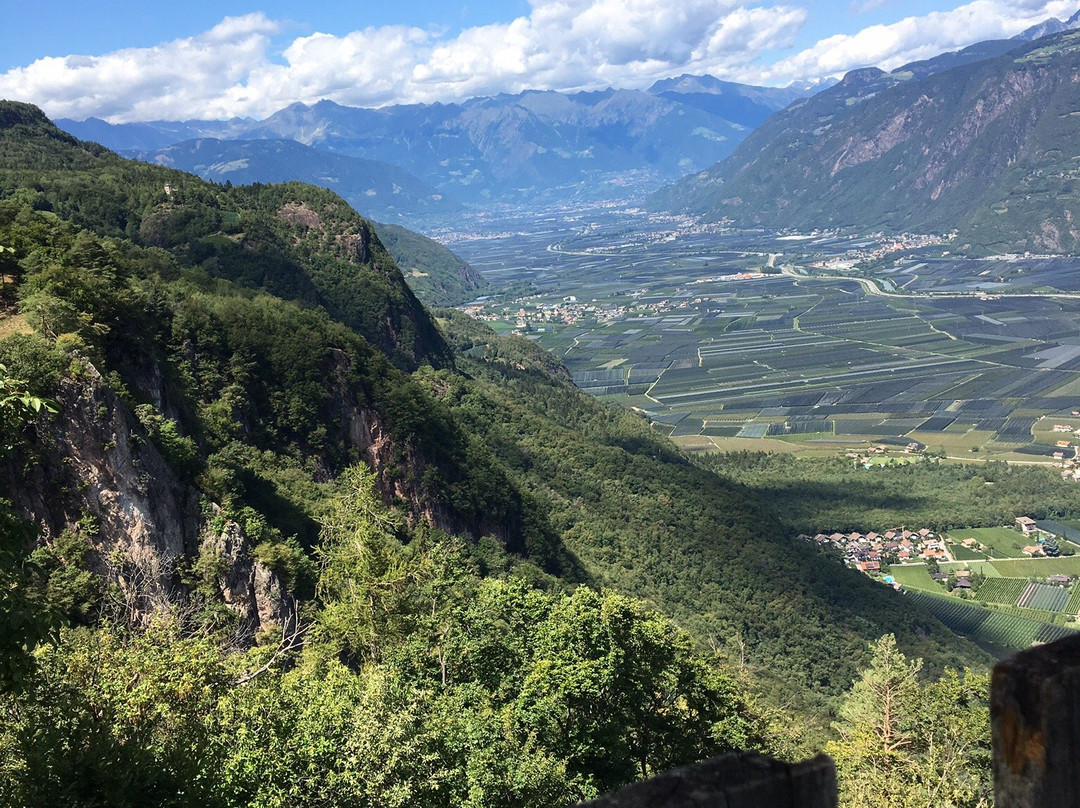 Gastehaus Mair主图