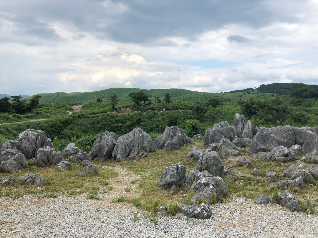 Akiyoshidai Observation Trail景点图片