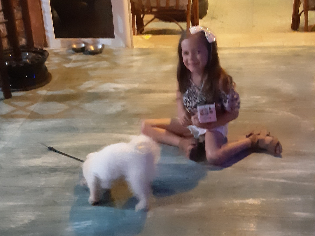 Zante Island Coffee Bar-卡拉马其必去景点