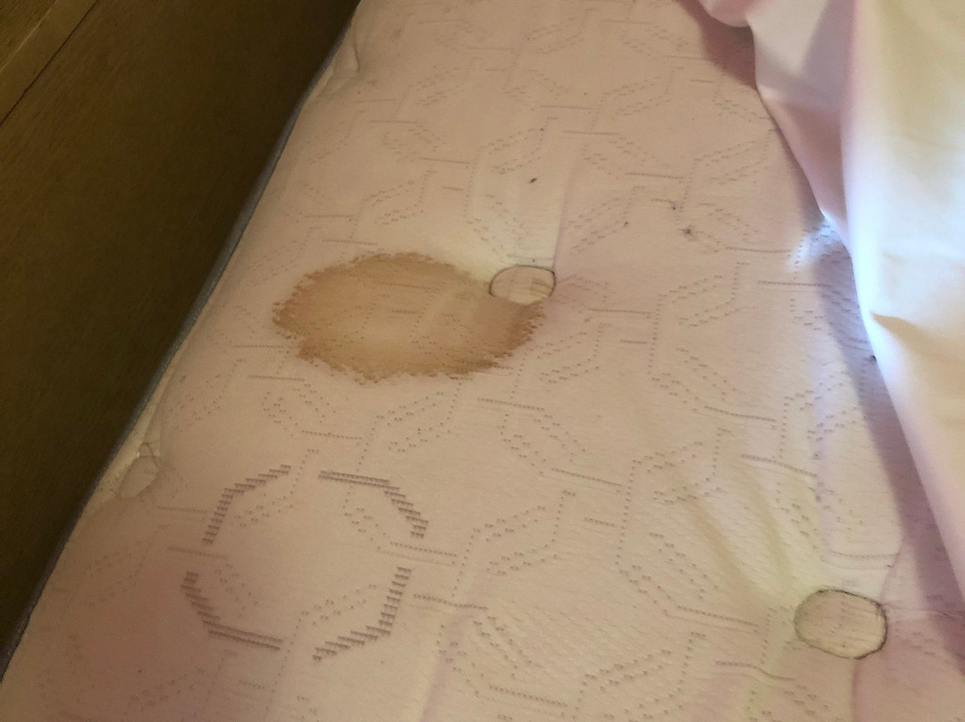 Vista Del Lago Resort主图