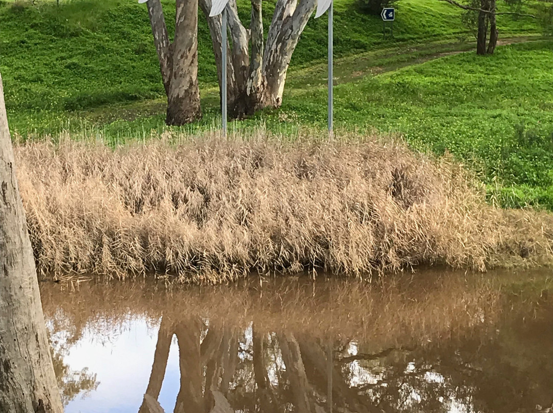 Avoca River Walk-Charlton必去景点