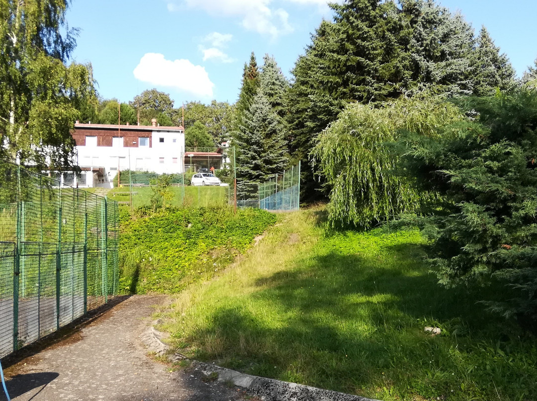 Parkhotel Mozolov
