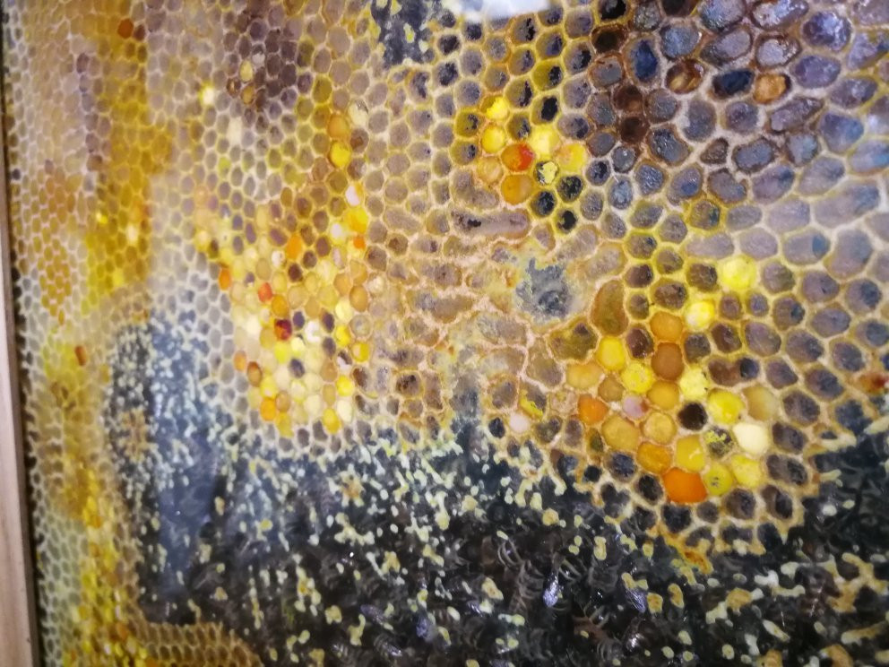 Bee-Keeping Museum景点图片
