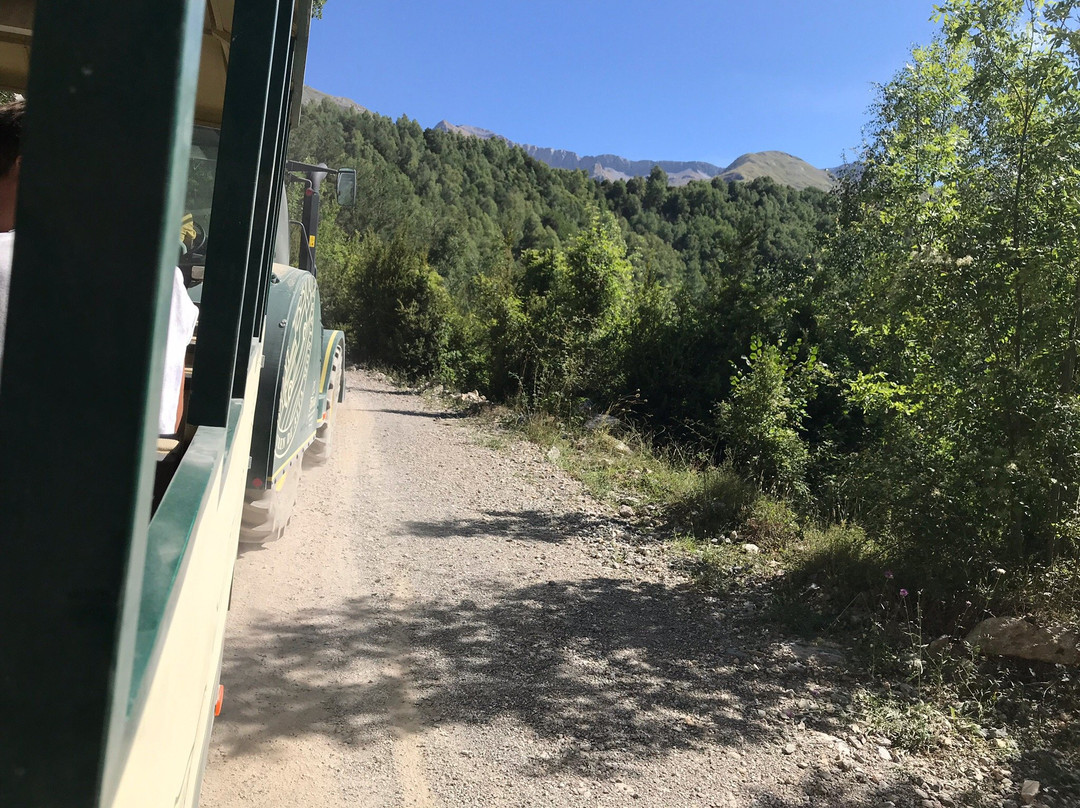 Tren de Alta Montana El Sarrio景点图片