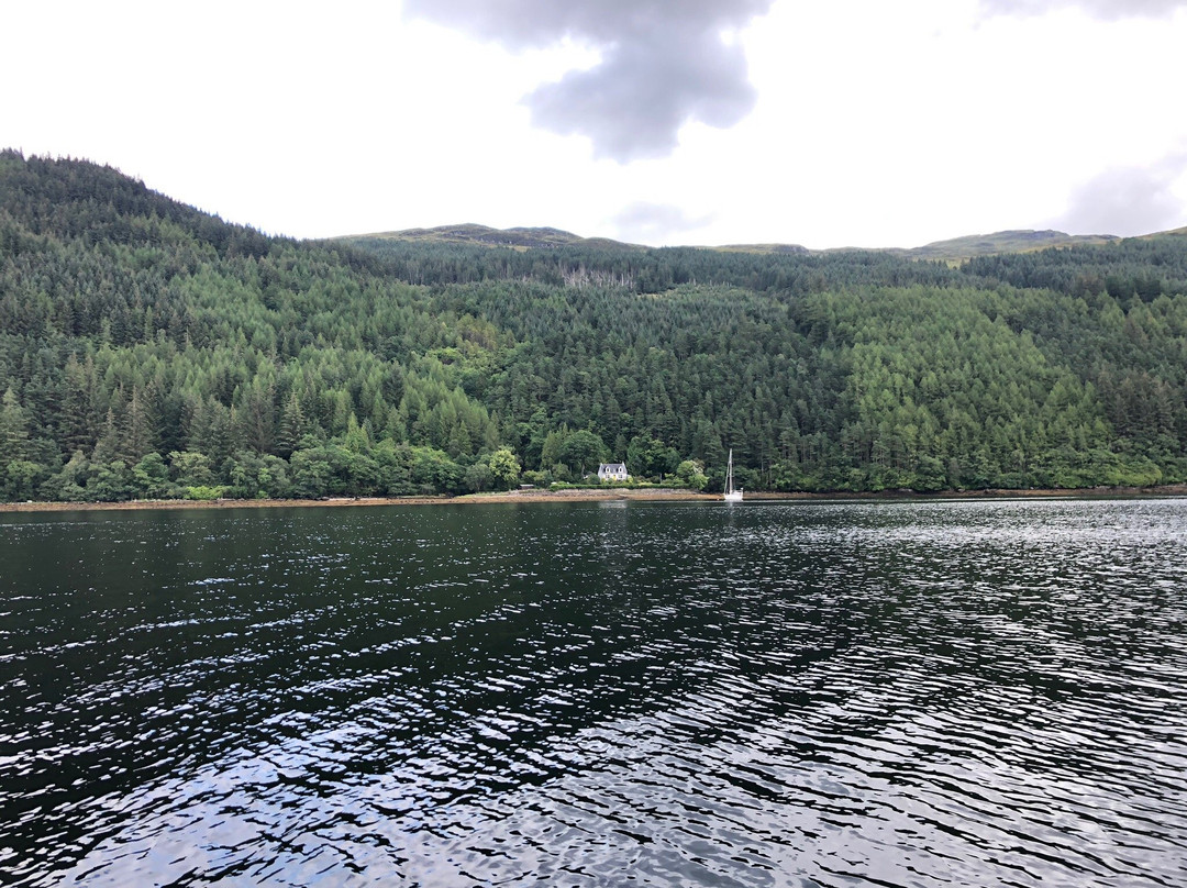 Loch Goil Cruisers景点图片