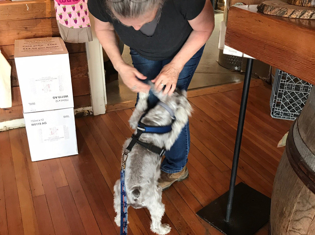 Flying Dutchman Winery-Otter Rock必去景点