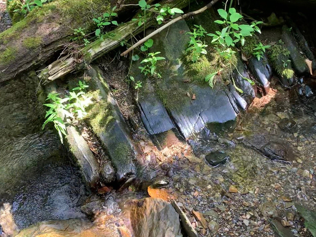 Meduxnekeag Valley Nature Preserve-Woodstock必去景点