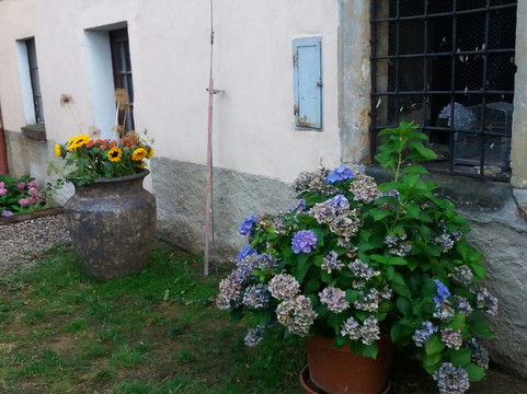 Letní scéna Tvrz Divice-Vinarice必去景点