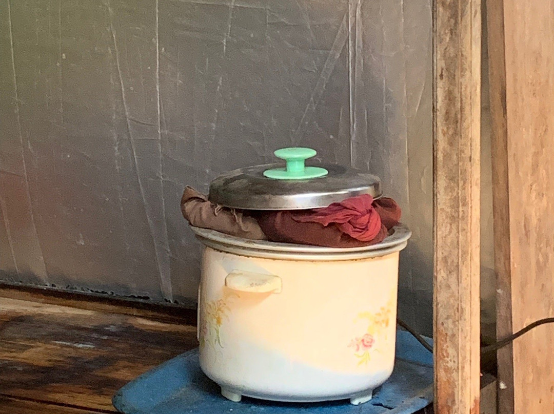 Arugam Bay Ayurveda Treatment Centre-阿鲁甘湾必去景点