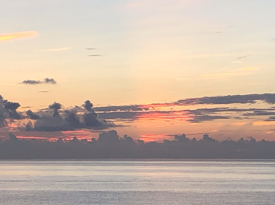 棕榈滩四季酒店主图