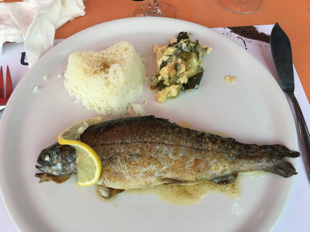 Escoubes-Pouts餐馆和美食-Auberge de Castelloubon