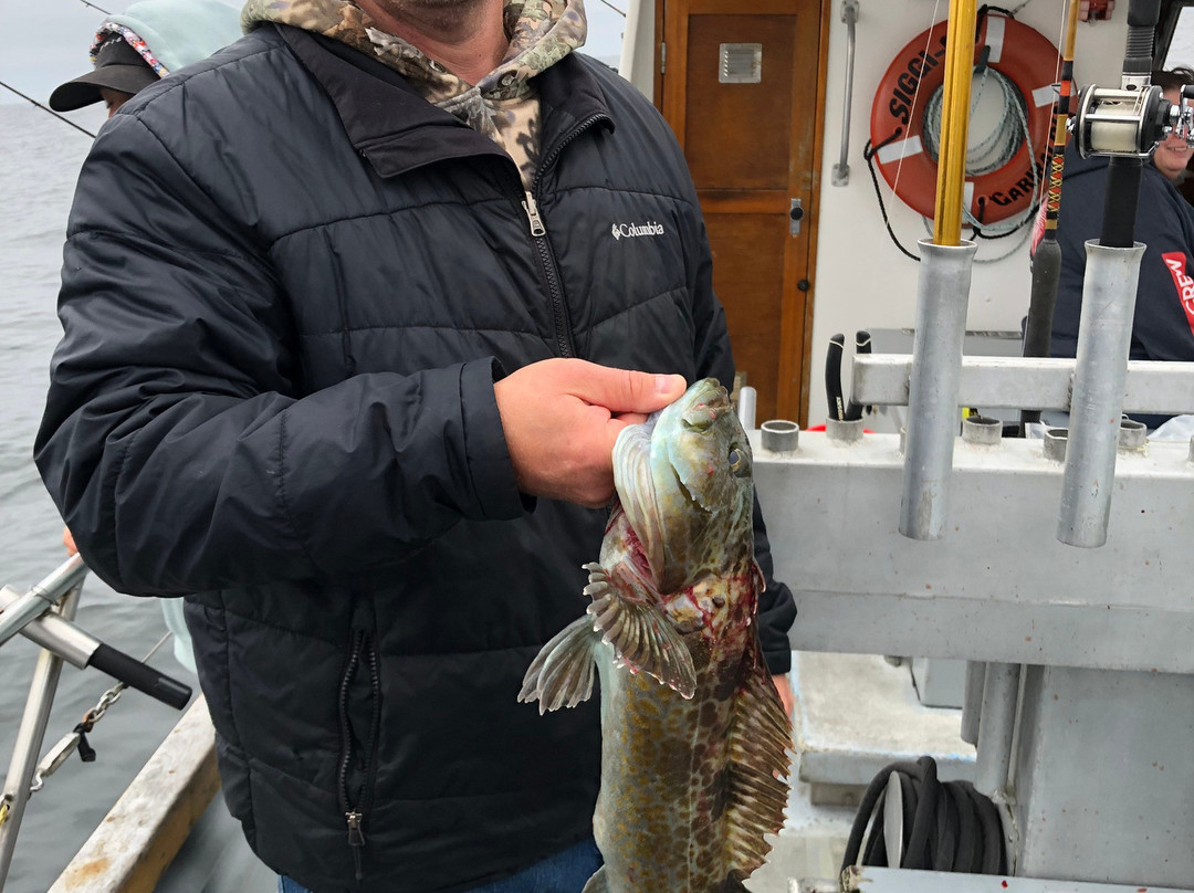 SIGGI-G Ocean Charters-Garibaldi必去景点