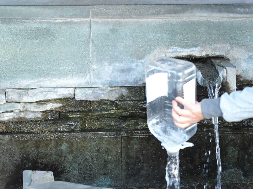 Kinryosui-德岛市必去景点