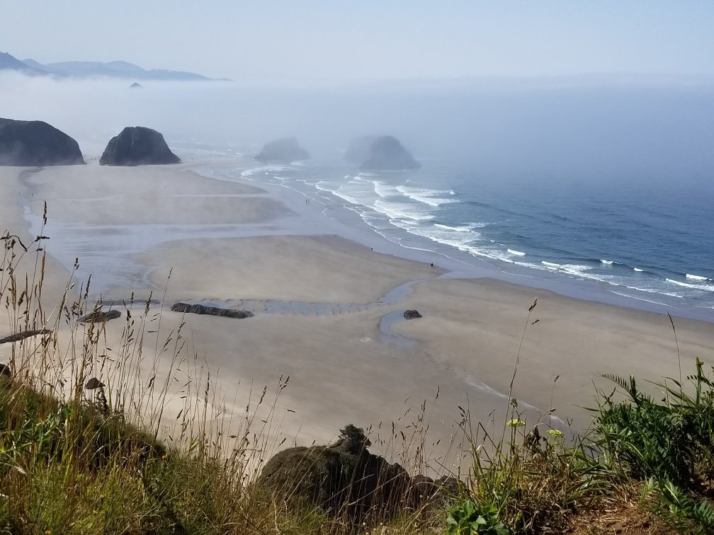 Yachats coastline景点图片