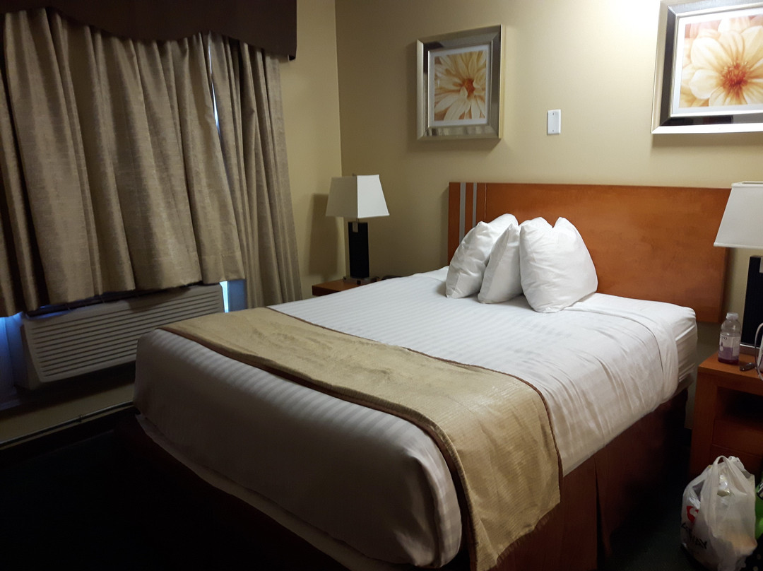 Econo Lodge Inn & Suites主图