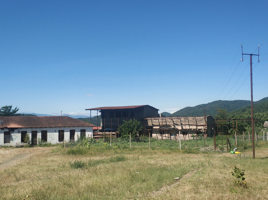 Temi Community-Gremi必去景点