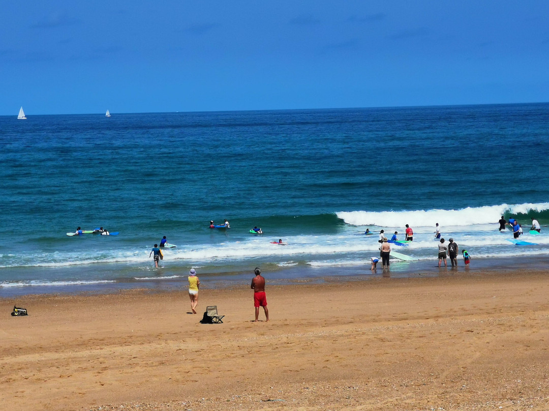 Sharkpool Surf School景点图片