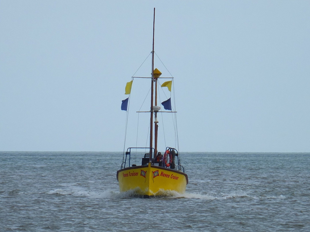 Seal Trips at Yarmouth-大雅茅斯必去景点