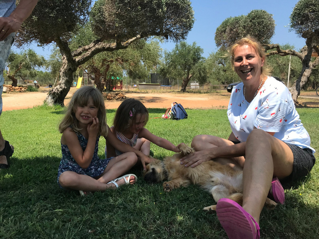 Agrikies Country Retreat主图