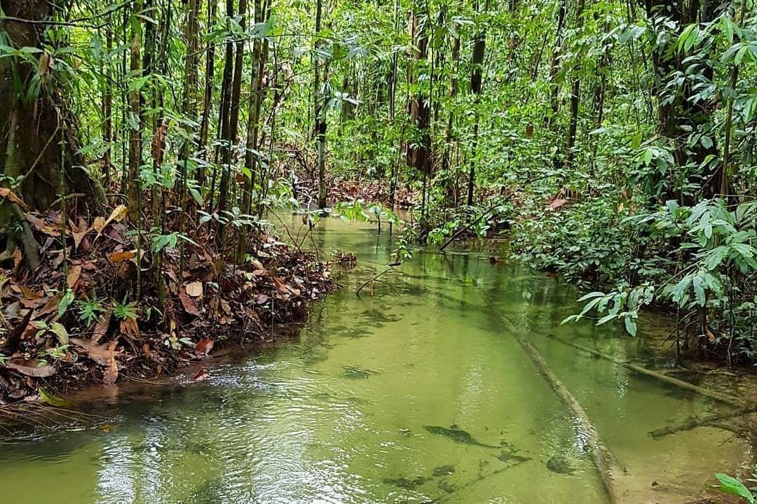 Tapajó Experiences-Alter do Chao必去景点