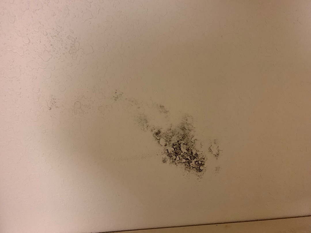 谢尔曼希尔顿恒庭酒店主图