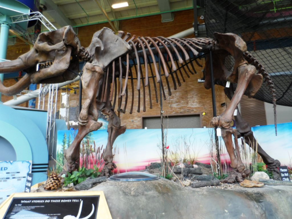 Science Central-韦恩堡必去景点