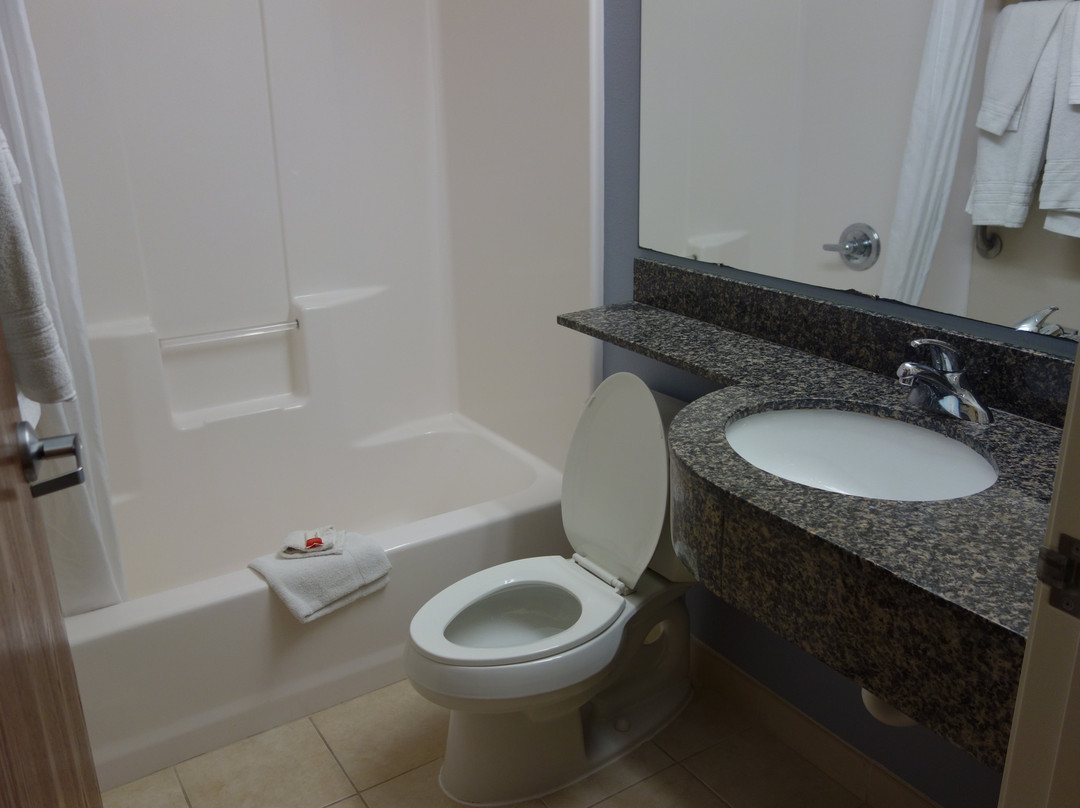 Microtel Inn & Suites By Wyndham Elkhart主图