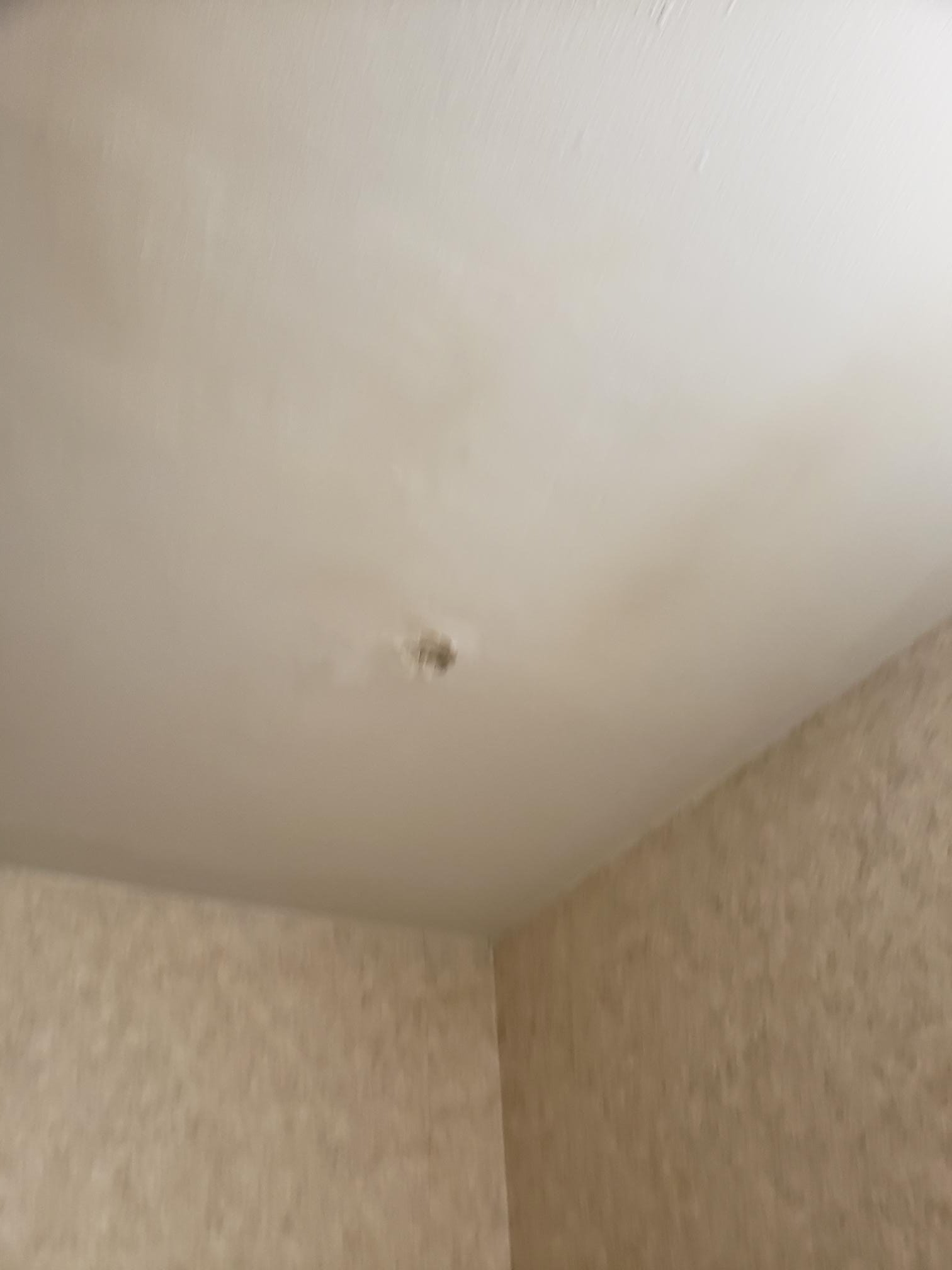 TownHouse Hotel Grand Forks-浴室