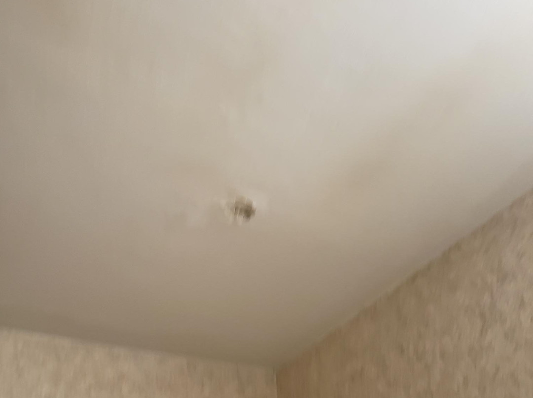 TownHouse Hotel Grand Forks主图