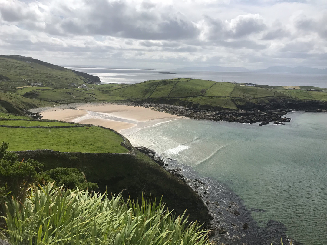 Muckross Head Peninsula-Kilcar必去景点