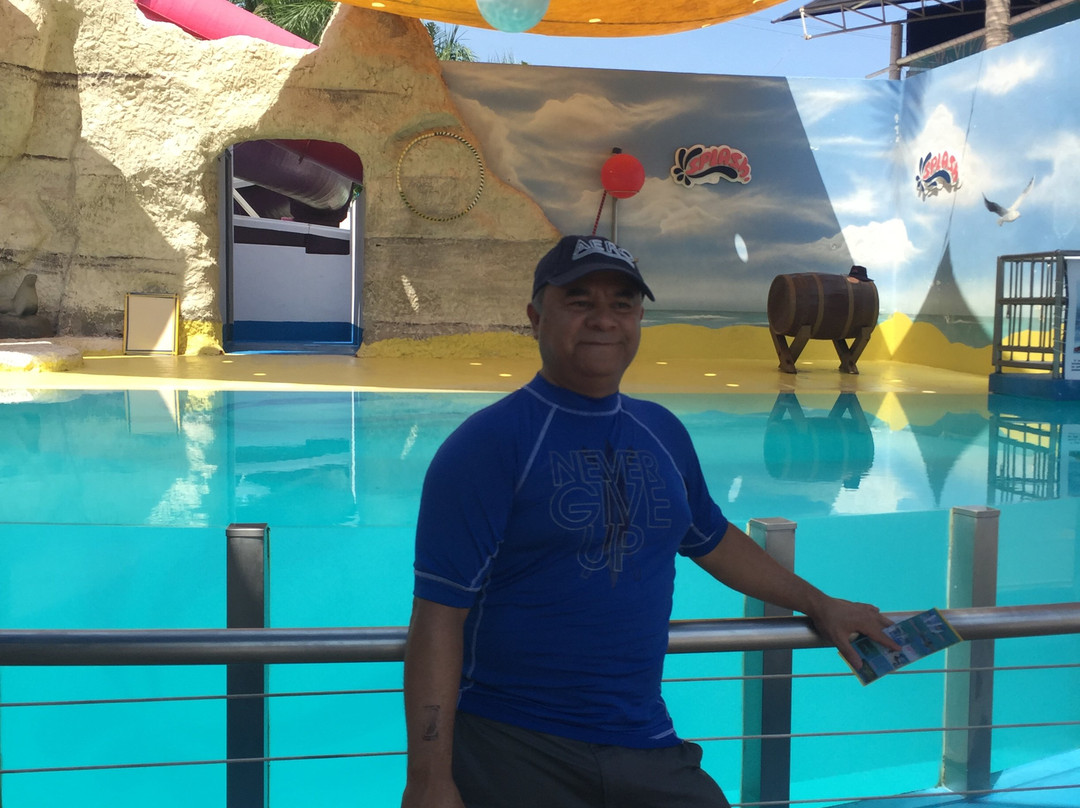 Splash Inn Nuevo Vallarta主图