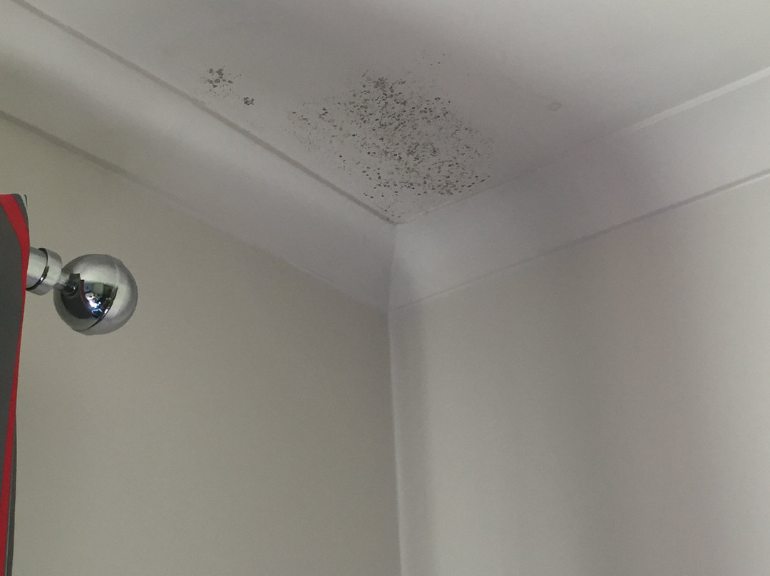 Travelodge Newcastle Airport主图