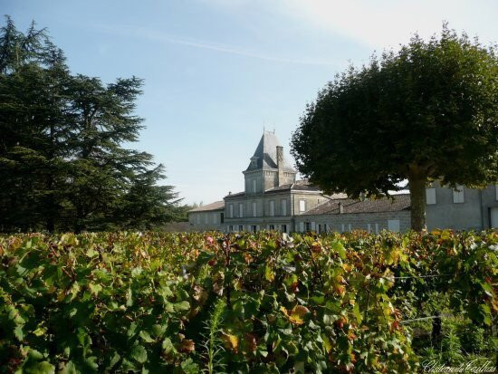 Château du Tailhas景点图片