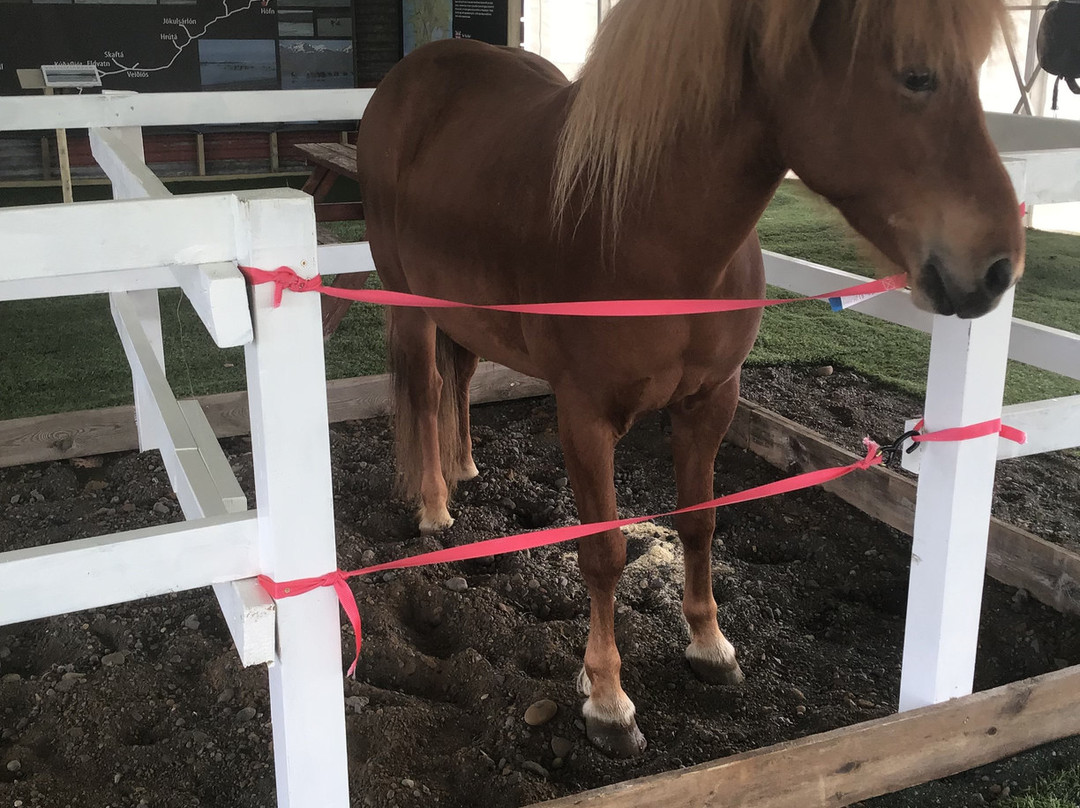 Heimavöllur Hestsins-霍尔斯沃德吕尔镇必去景点