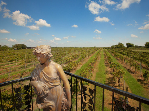 智选假日酒店及套房-布赖恩学院站-洲际酒店集团旗下主图