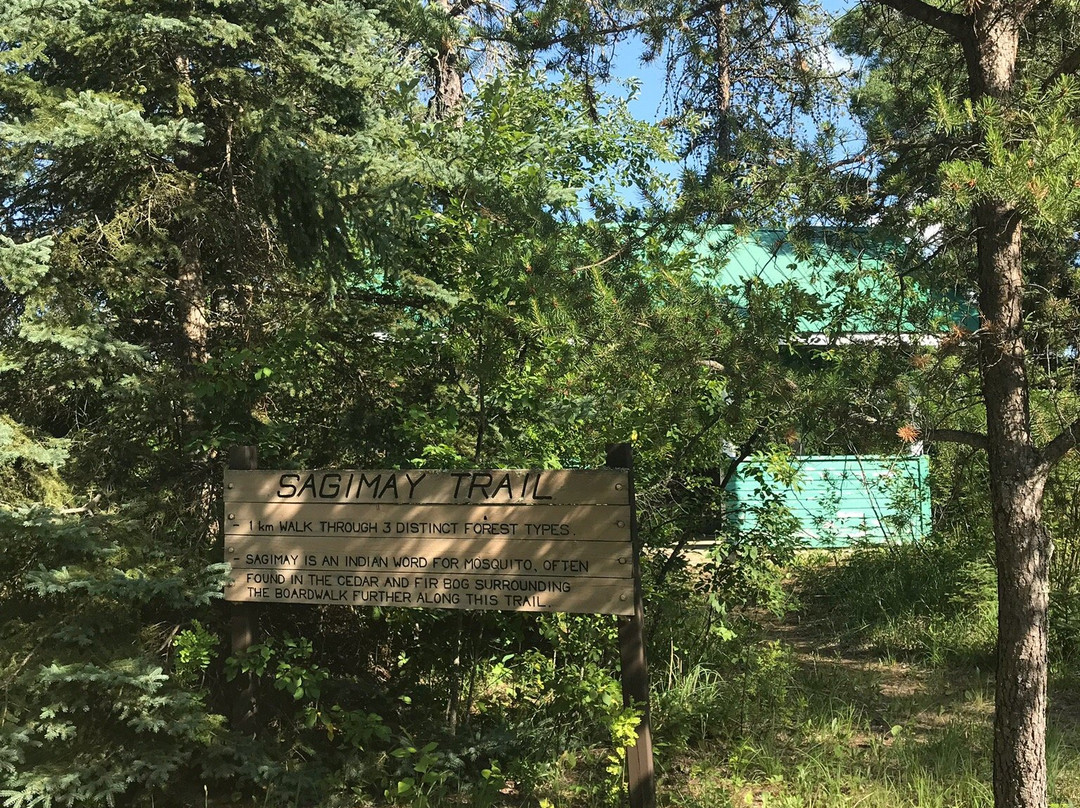 Sandilands Forest Discovery Centre-Hadashville必去景点