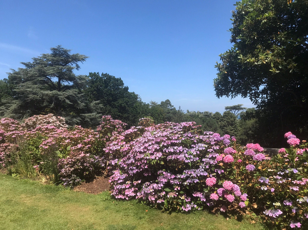 Le Bois Des Moutiers景点图片