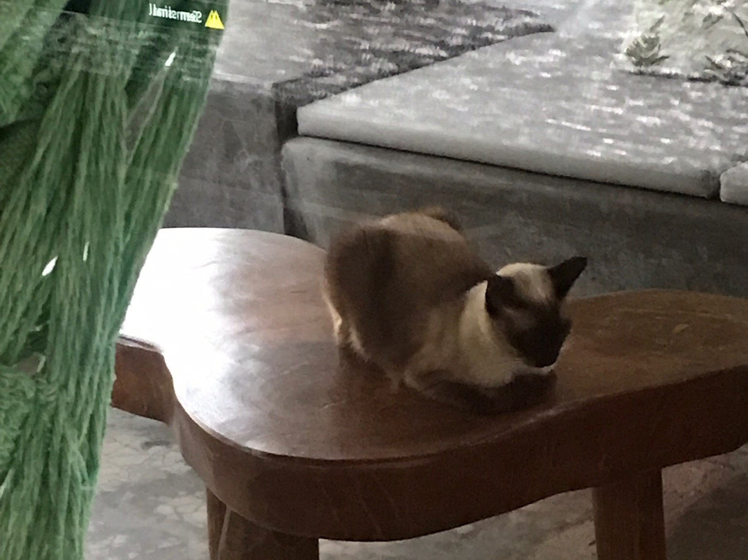 Pousada Infinito Mar主图