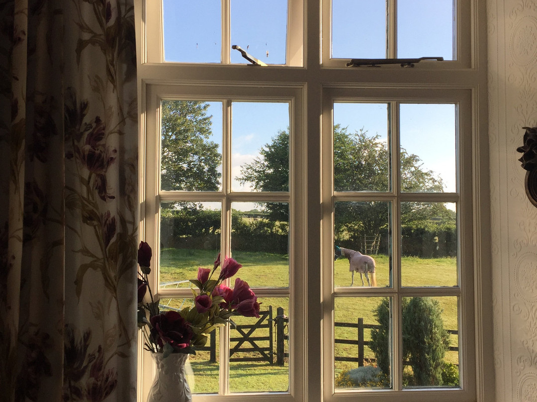 Trenake Manor Farm主图