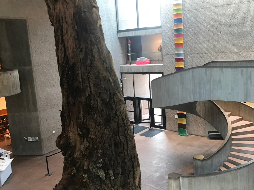 Everson Museum of Art景点图片