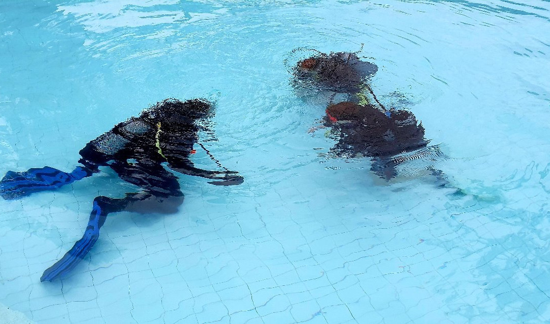 Baracuda Diving Kenya景点图片