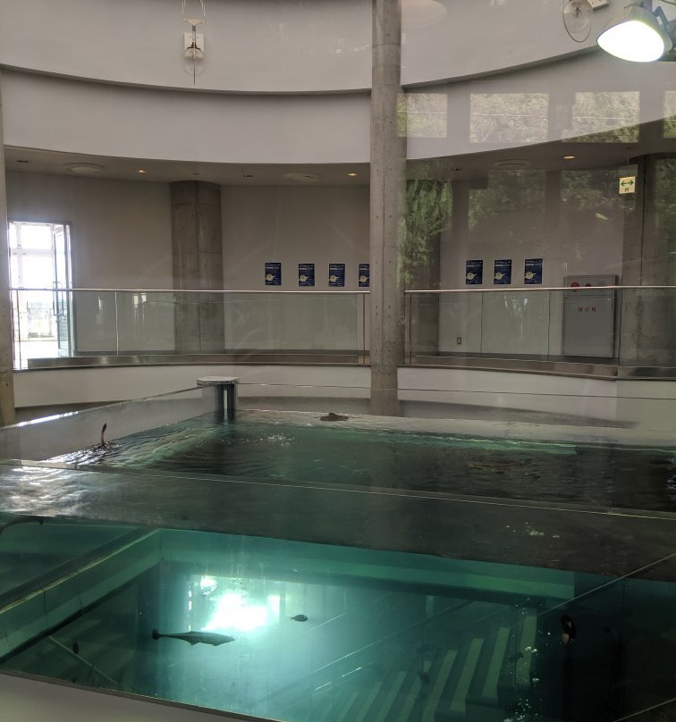 Amami Marine Exhibition Hall-奄美市必去景点
