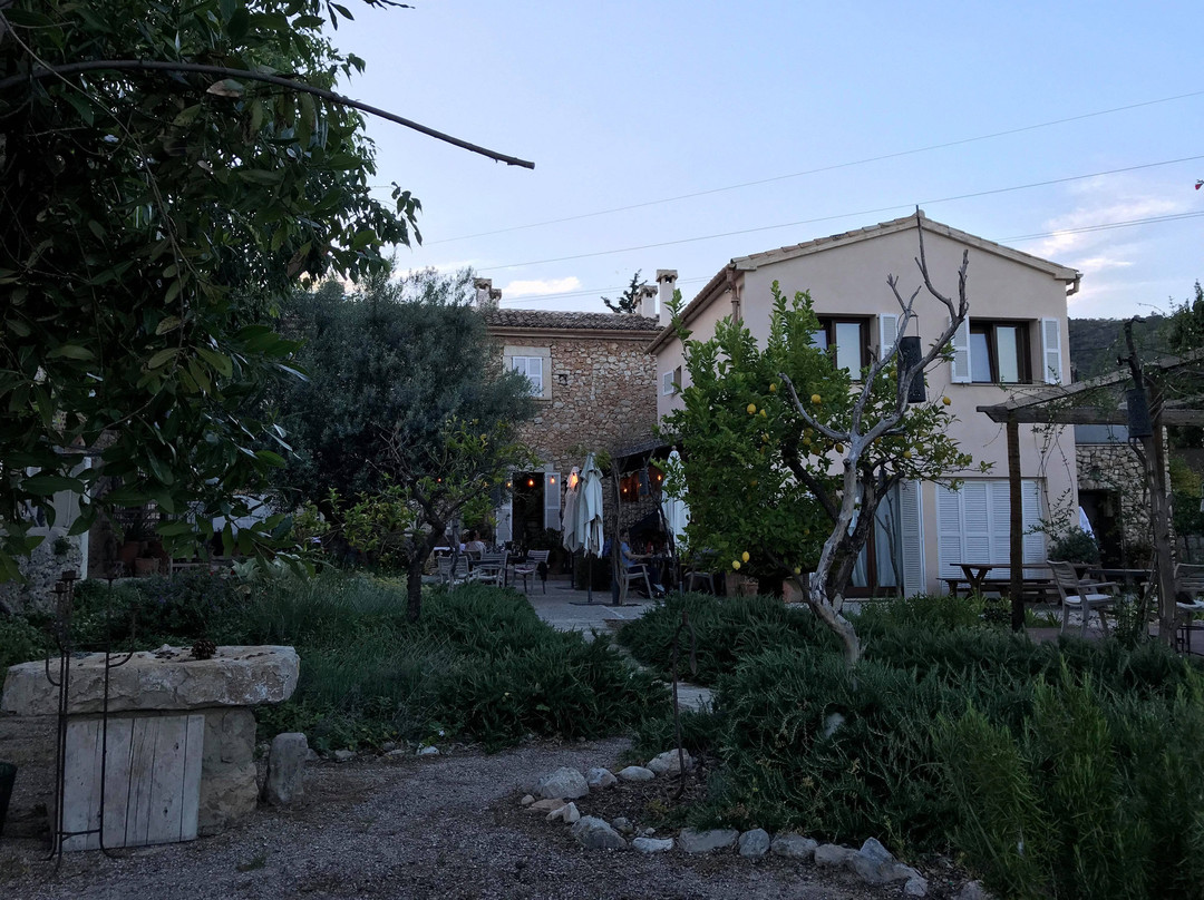 The Pink Pepper Tree Home Hotel主图