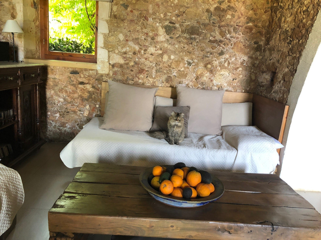 Metohi Kindelis主图