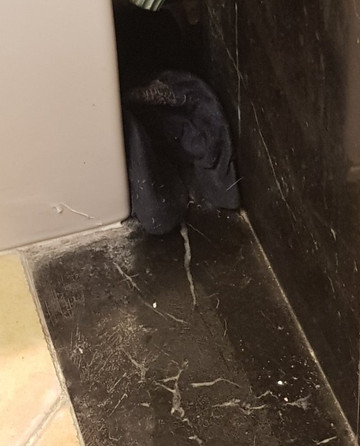 波梅齐亚总统酒店主图