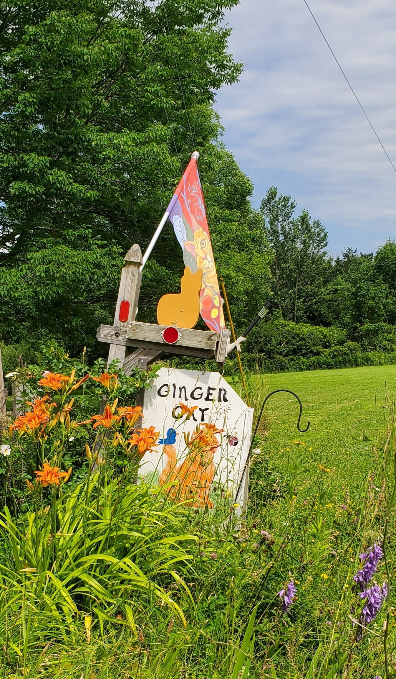 The Ginger Cat Bed & Breakfast-官方